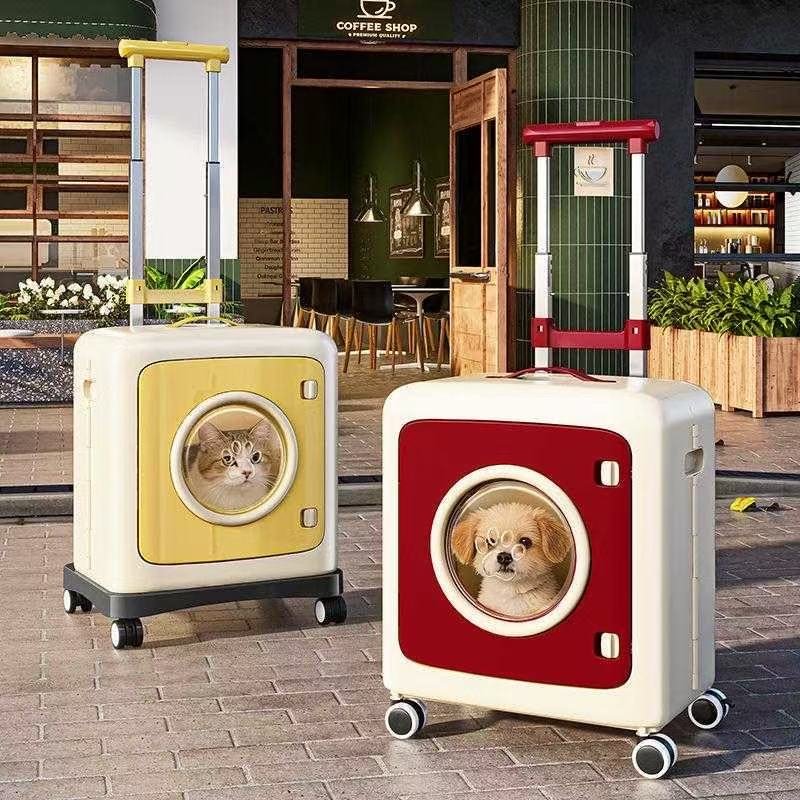 Pet Travel Accessories